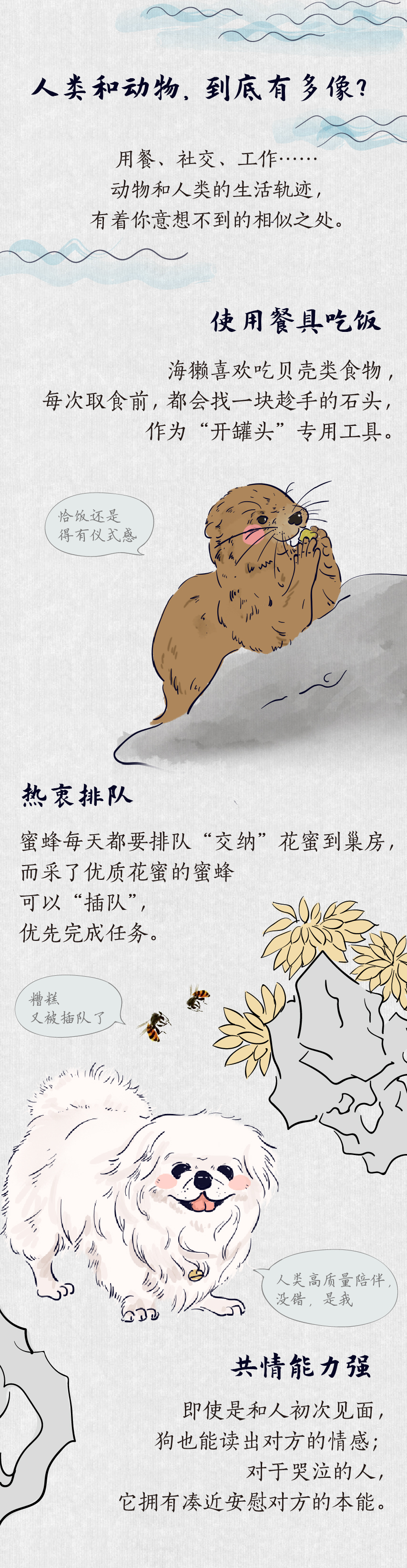 考古学家 世界动物日 在养生这件事上，动物也不赖！