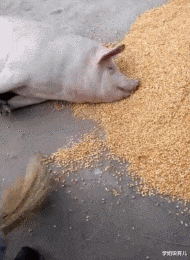 学姐说育儿|神回复:看到一位小姐姐在为难,我该伸出援手吗?神评亮了