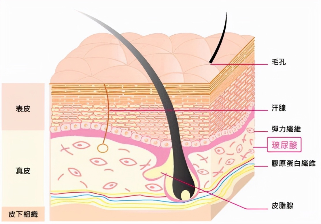 久见菌菌|新冠疫苗还有这功能?辉瑞打完秒变“万磁王”,随便就能吸金属