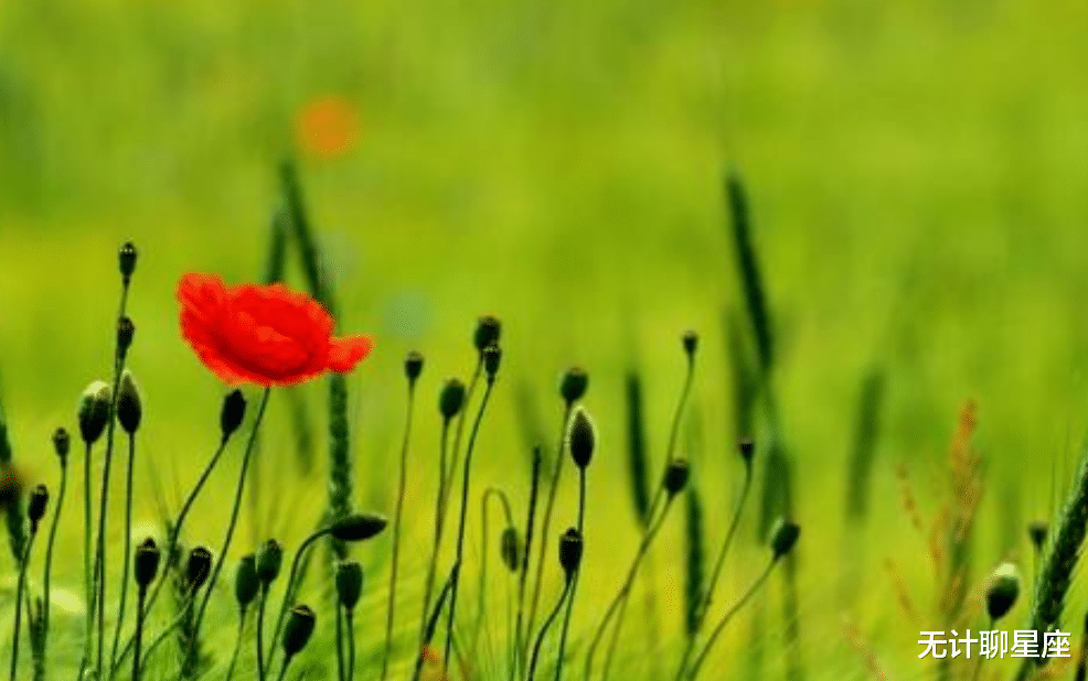 |上半年,最可能逆袭的4个星座,凭借努力和积累,兑现承诺和期望