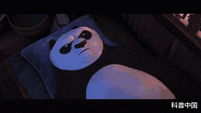 睡眠|一女生睡姿不对导致脊柱侧弯！睡觉究竟侧卧好，还是平躺好？