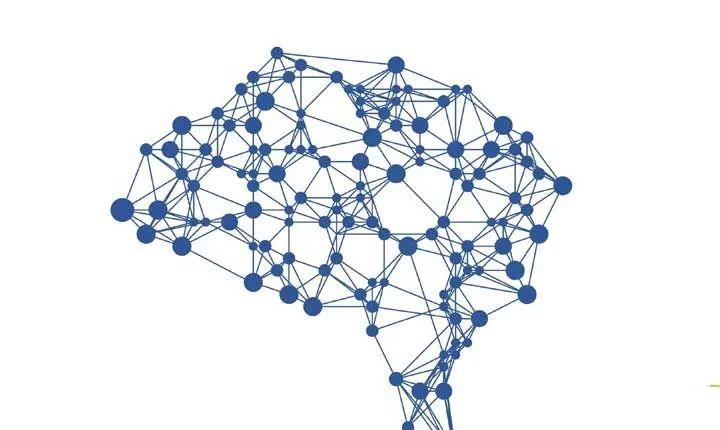 人类大脑在3000年前开始缩小,或因集体智慧扩张,那我们变笨了?