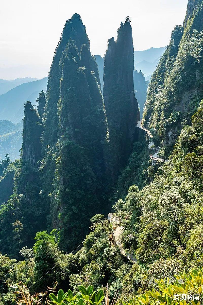 莽山|如此低调的五指峰，竟坐拥南岭群山最奇绝的风景！