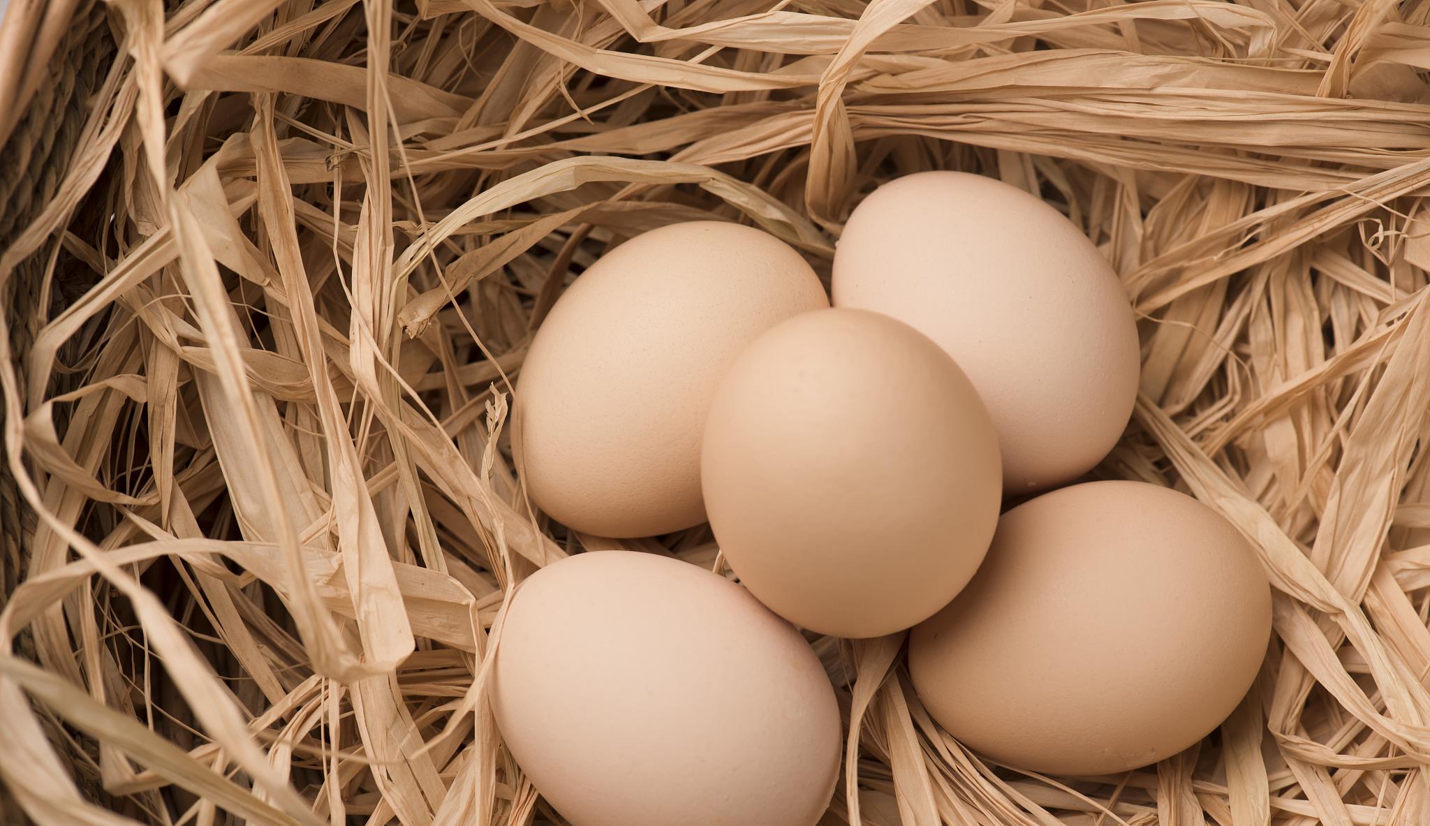 胃炎|鸡蛋是胃炎的“发物”?不妨听听医生怎么说,建议了解