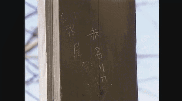 韩剧|第一集就磕死我了，这9.1分小甜剧太上头