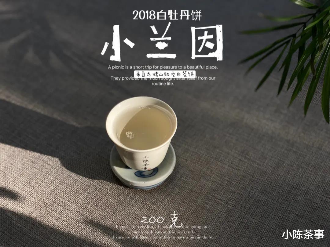 茶叶|洗茶真的更加卫生吗?白茶、绿茶、红茶,都需要洗一遍才能喝?