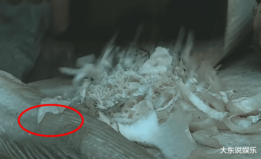亮剑|亮剑：李云龙结婚，有谁注意到炊事班的伙食？没点生活阅历拍不了