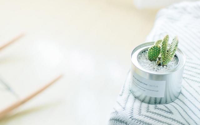 仲念念|中年女人被你搞定后，会有的迹象：主动在三方面，越界
