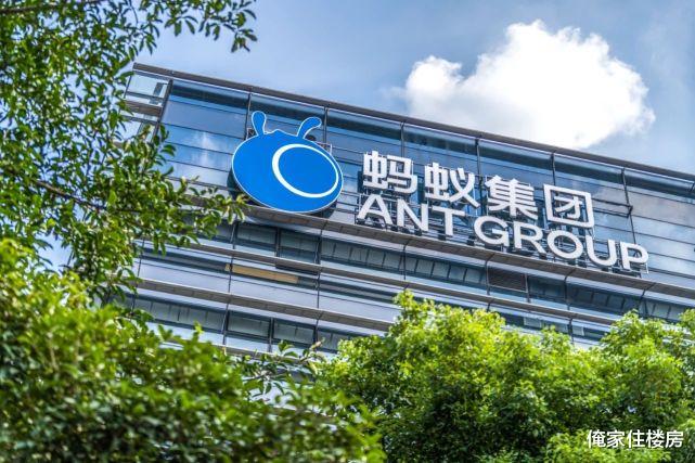 房价|马云豪掷40亿元拿地！业内人士：该板块未来不可估量！
