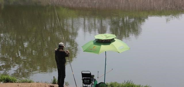 四川省|四川一男子野钓遇怪鱼，鱼鳞似开放的花朵，钓鱼人果断放生