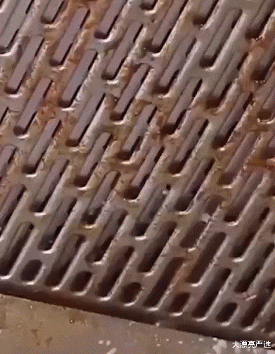 这3种厨房用品,已经被拉入家用“黑名单”,看看你家有吗?