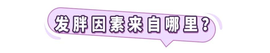 泡面|居家瘦减肥：减肥能吃泡面吗？教你如何吃出高营养
