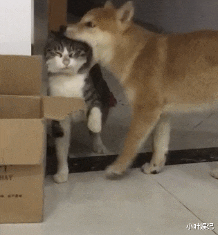 小叶娱记 “我该不该告诉我女友,她脚上全是灰呢?”表面功夫真足!