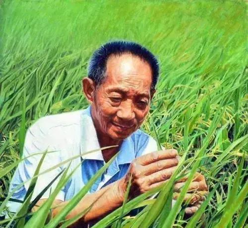 袁隆平|袁隆平去世2小时后被辱骂诋毁:我想不通,他到底怎么得罪你了?