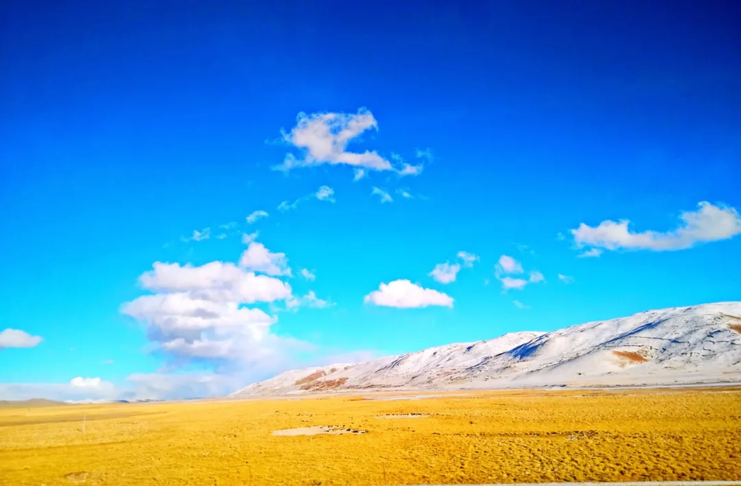 上海市|人过30岁怎么“努力”都没进步，怎么办？