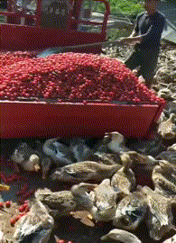 死刑犯 神回复：古代没有身份证摄像头，被株连九族的人为什么不逃走呢？