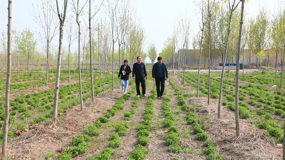 任泽区快报 武计东：辛苦耕耘为民生，做好群众贴心人