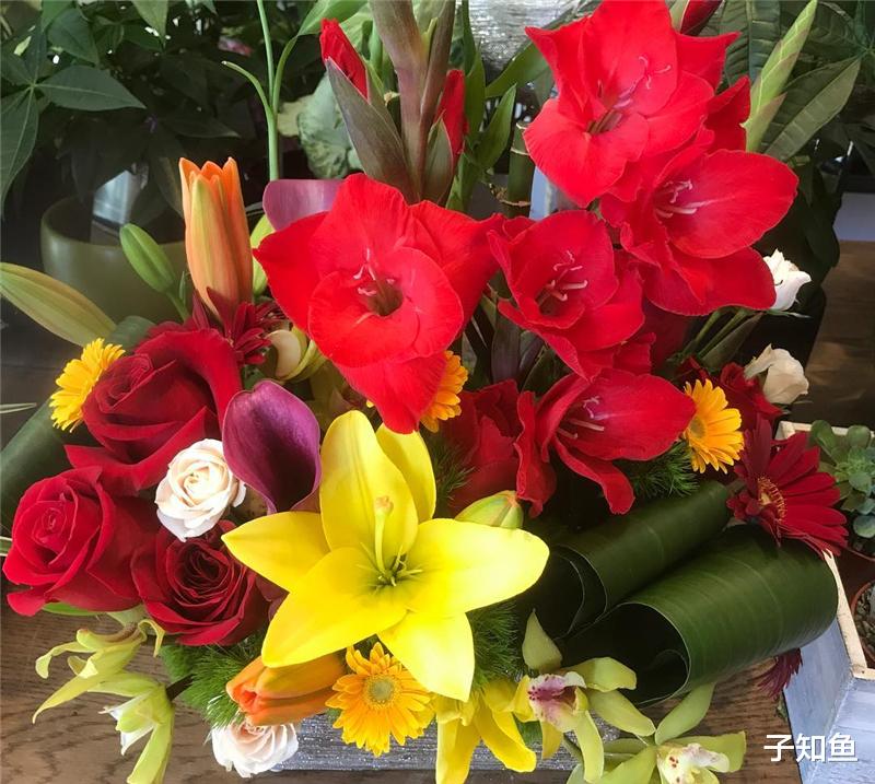 子知鱼|爱情中是个小公主的星座，光芒四射，非常优秀，撒娇卖萌无所不能