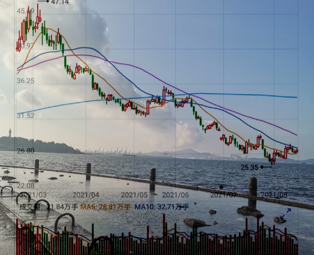 民警 交易新手炒股，想要稳定盈利该怎样去做？