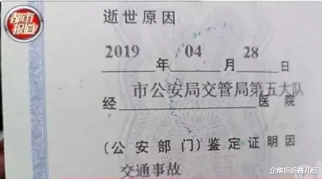企鹅妈妈育儿经|把父亲20万死亡赔偿金充了游戏，这俩孩子真是熊到家了……