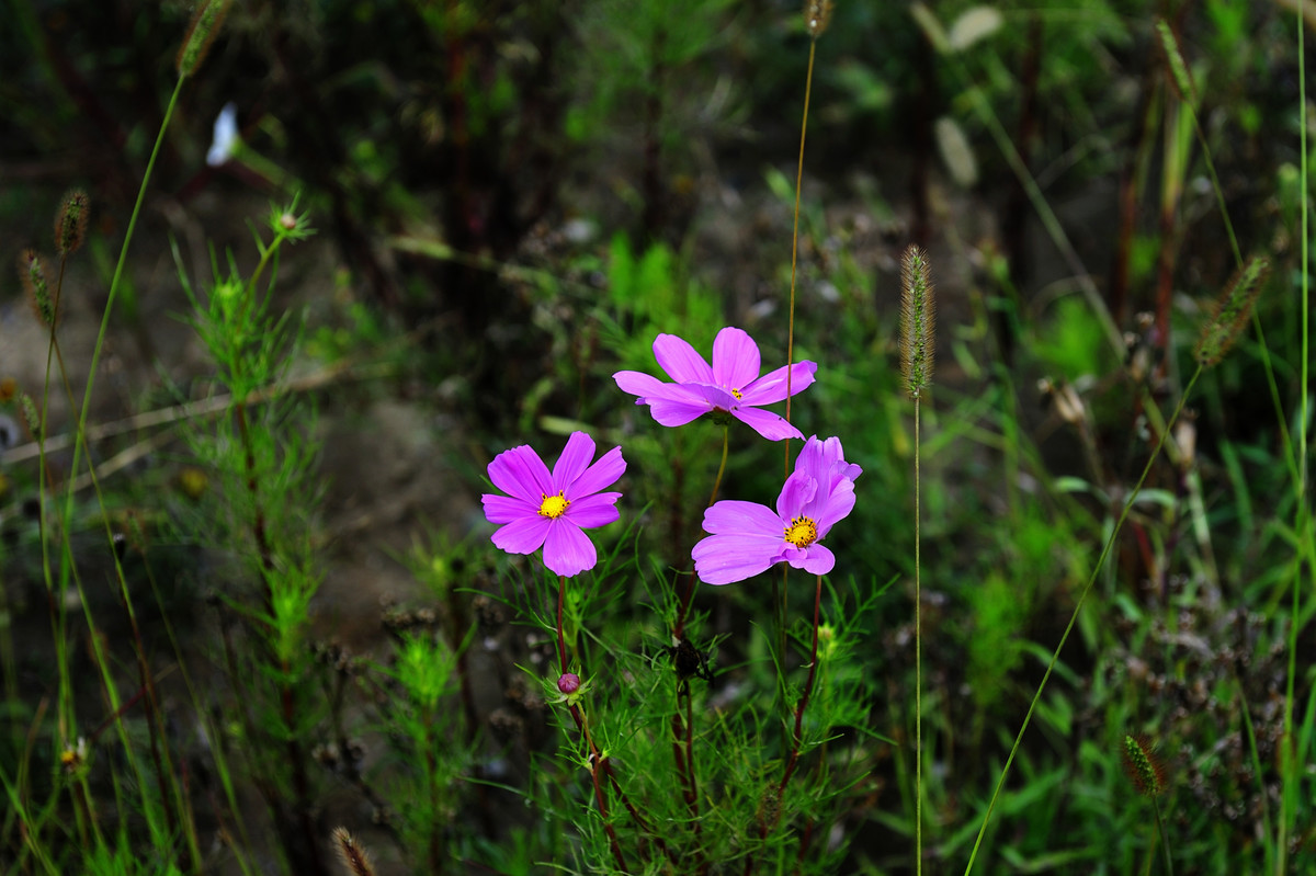 机器人|人心难测,要想与人交往不吃亏,记住这四戒