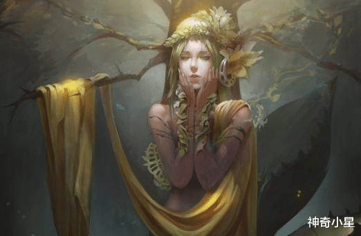 神奇小星|这三个星座你敢惹谁?每一个都不好惹!