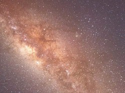 蜜蜂 美国宇航局计划在2022年开展“火星迁移实验”