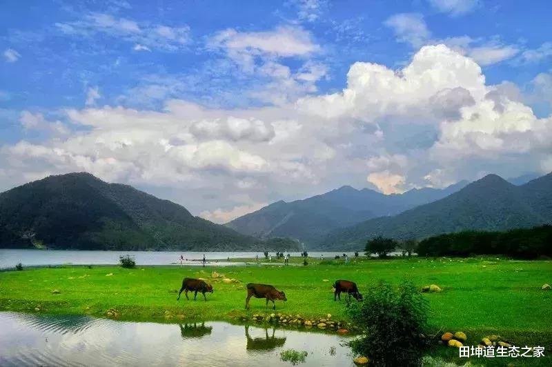 二氧化碳 田坤道 人工淀粉：中国科研的一小步，解决粮食危机的一大步