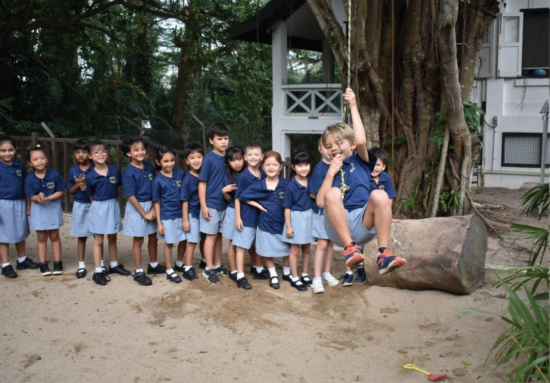 中新解析|锚定素质赋能人才培养，茵维特以中西合璧菁英教育引领国际教学新标杆