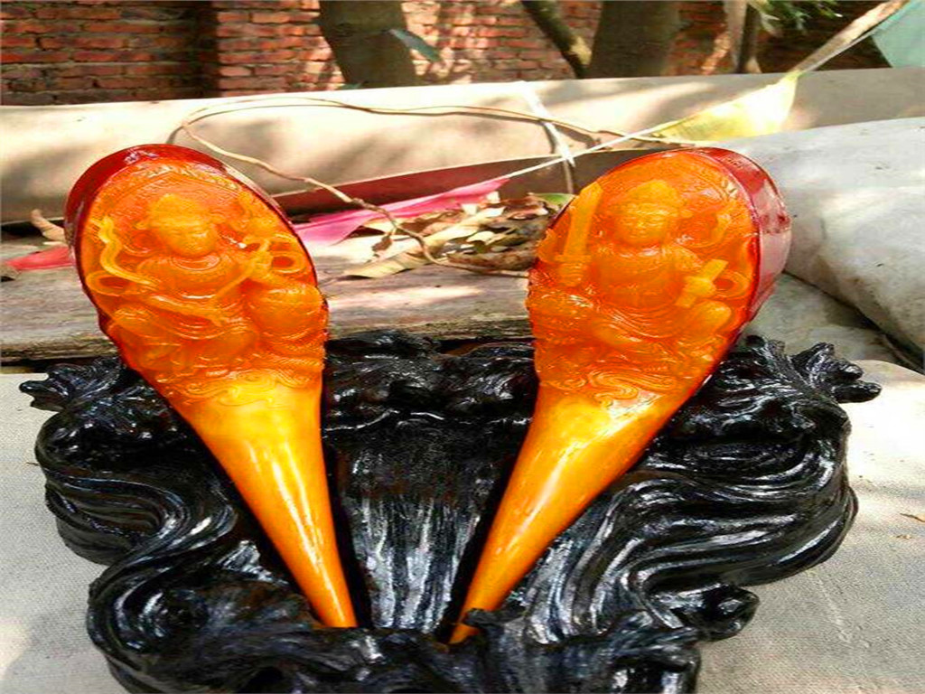 象牙 脑袋被人类惦记的鸟，头骨比象牙贵3倍，活着被取骨后只能等死