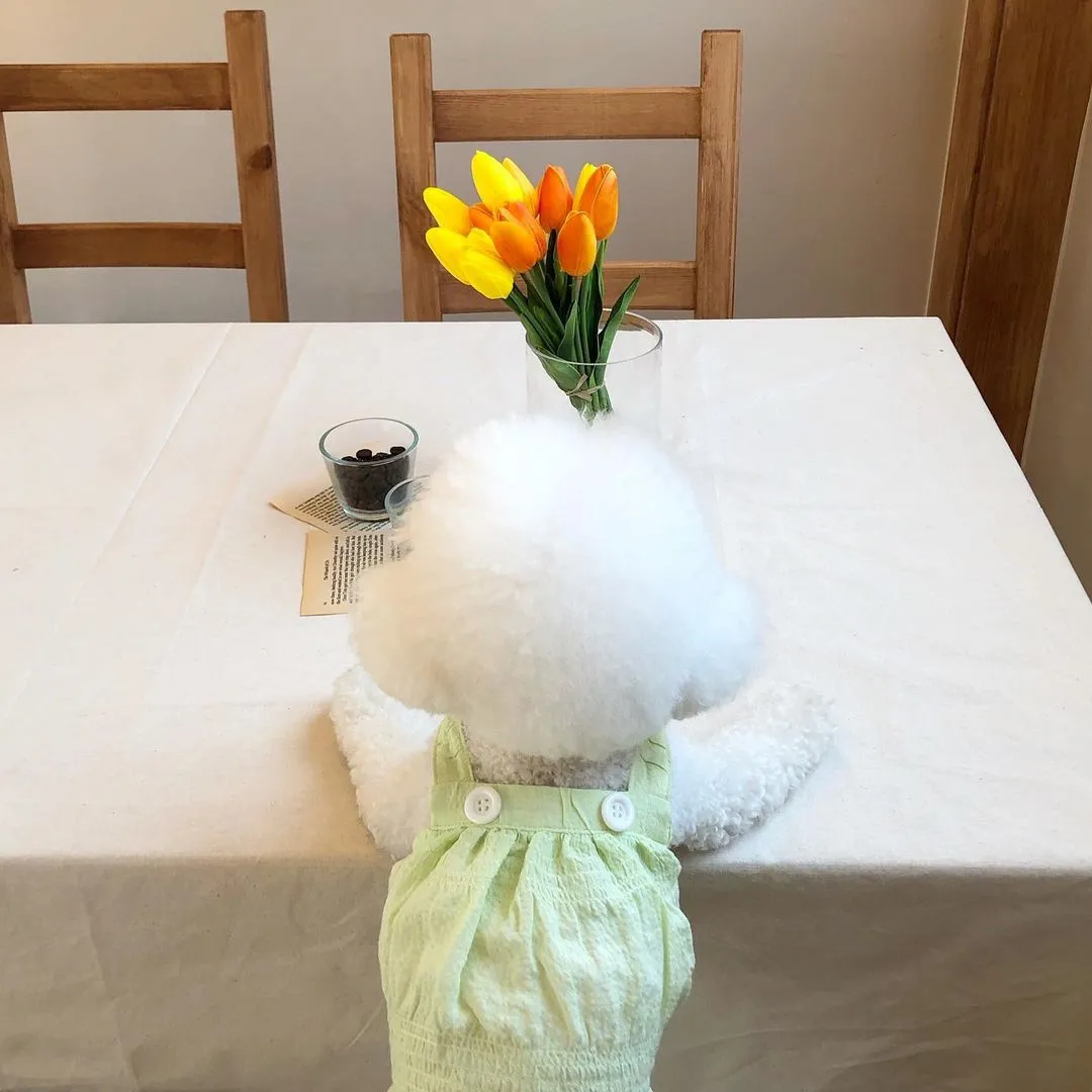 InsDaily 韩国快乐小奶狗爆红网络!看完心都快萌化了!