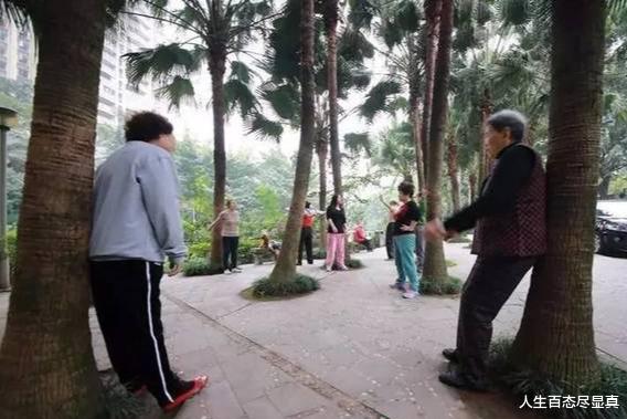 人生百态尽显真 撞树已经OUT，沈阳大爷大妈将头挂树上锻炼，小孩吓得捂眼睛