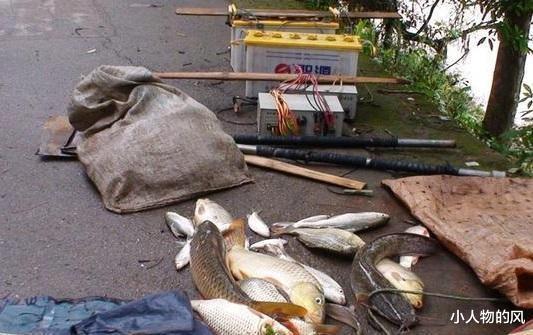 广东省|广东钓友小河钓鱼，电鱼人直接从其钓位穿过，网友：这你不举报？