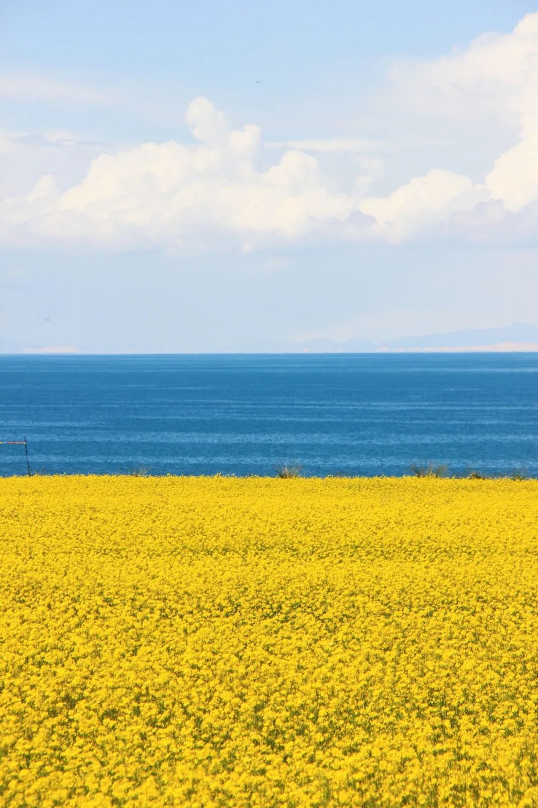 西宁|被预言下一个“瑞士”，这个夏日均温20°C的宝藏地，刘昊然都来打卡！