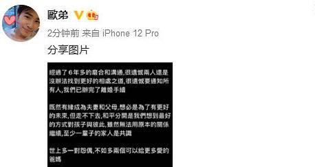 忧郁林黛玉|天天兄弟3人是重庆女婿，欧弟已离婚，汪涵妻子杨乐乐频上热搜