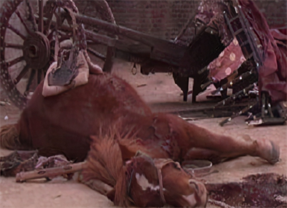 石敬瑭 妇人报案称战马吃自家粮食,石敬瑭:检查马胃,找不到粮食就砍她