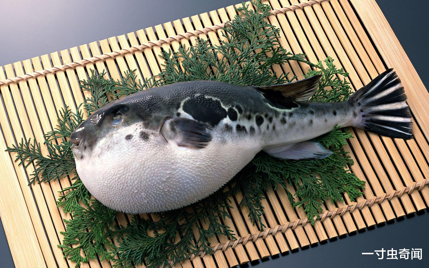 男子购河豚毒杀妻,中毒有解吗?一克能杀500人,是氰化物1200倍
