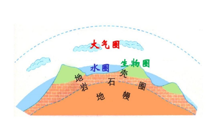鲨鱼 美国海滩惊现20多条鲨鱼，疯狂吃周围的鲱鱼群，生物圈已经乱了？