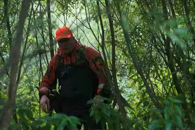 土爸说育儿|2岁的宝宝能做什么？2岁的宝宝森林走失，独自求生幸存4天被救