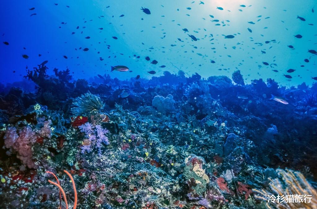 沙滩 入选CNN全球一生必去的50个地方，中国有5个上榜，你去过几个？