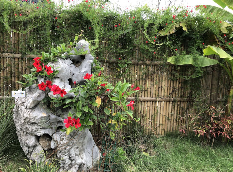|农村最美庭院景观设计，你想要的这里都有