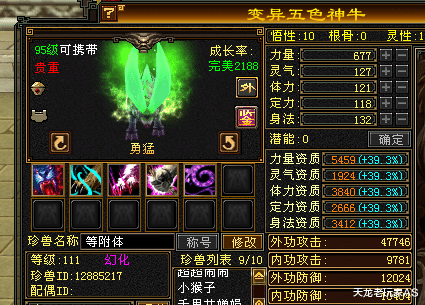 郭碧婷|一人打一区！天龙怀旧服第一天龙落殇面板曝光，网友：孤独的王者