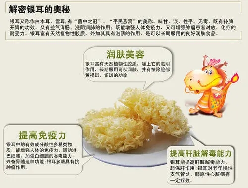 清风醉雨|南北派┃黑白木耳之争