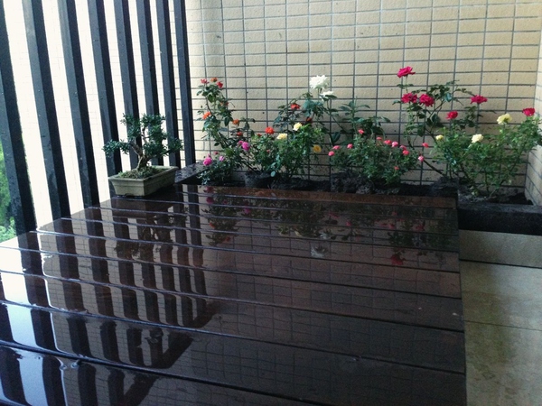 |太有才了!朋友在自家阳台用红砖砌了一个鱼池,确实很漂亮!