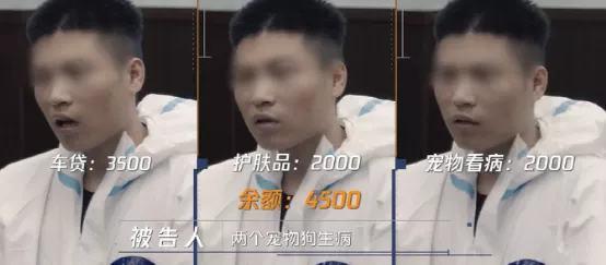 这部纪录片,我气到肝疼,又笑到头掉