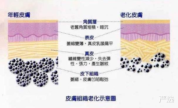 戚薇|戚薇的素颜被吐槽，佟丽娅成功“逆袭”，原来是在用美容仪护肤！