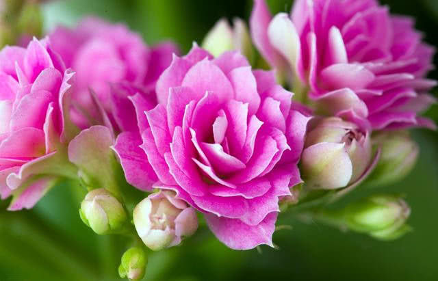 运势|喜上喜！年底运势相伴，横财必得，贵人辅佐，逃不掉幸福的属相