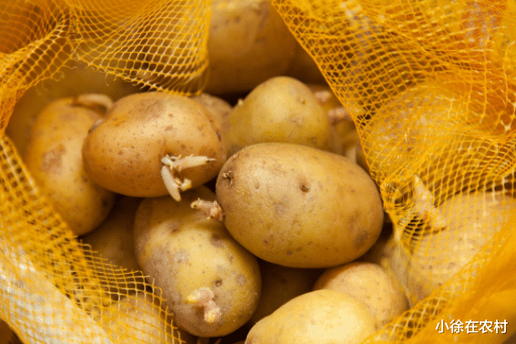 血栓|28岁女子坚持吃粗粮散乳结，却不幸离世，医生：一种粗粮吃不得