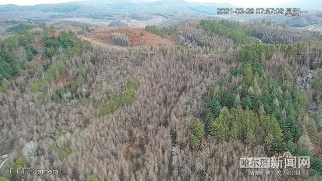 哈尔滨新闻网 无人机、经纬相机“助攻”丨我省开启森林“立体”防火模式