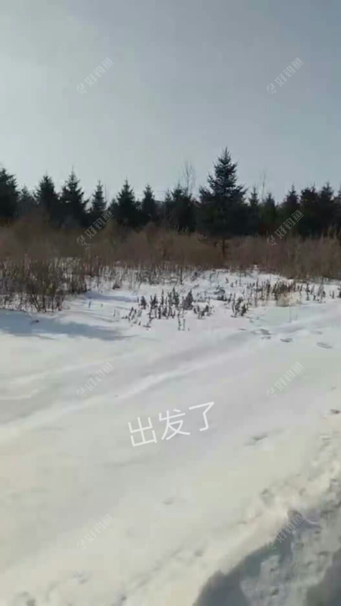 饵料|东北棚钓大鲫鱼之春季垂钓技巧六